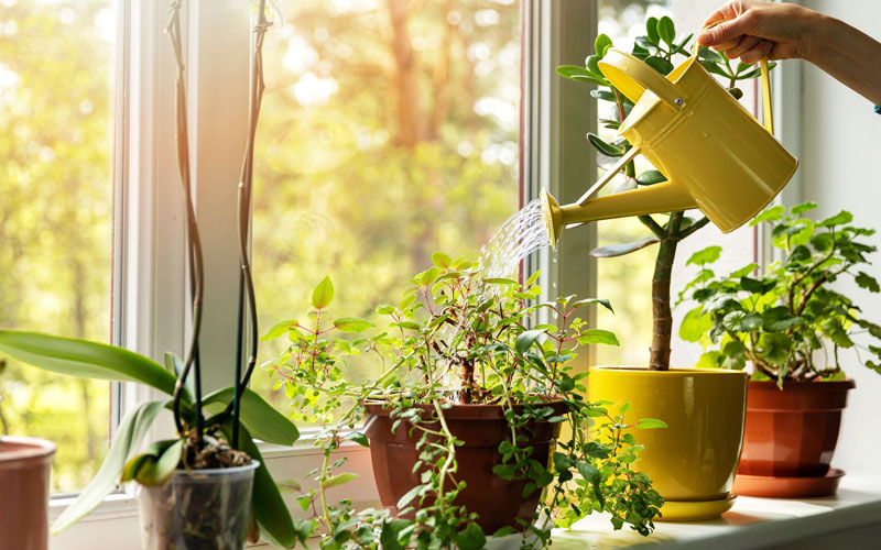 Tiêu chuẩn chất lượng dịch vụ