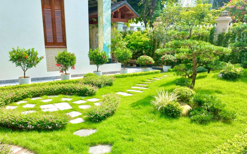 Thư viện ảnh chăm sóc cảnh quan