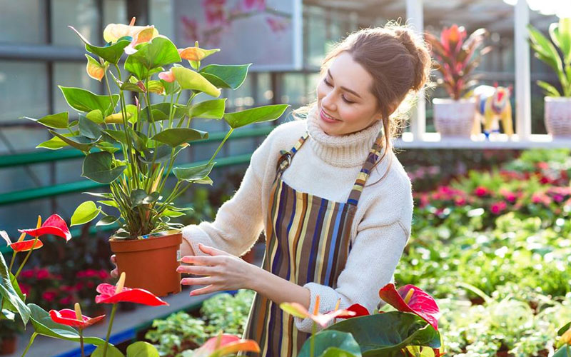 Quy trình cung ứng dịch vụ