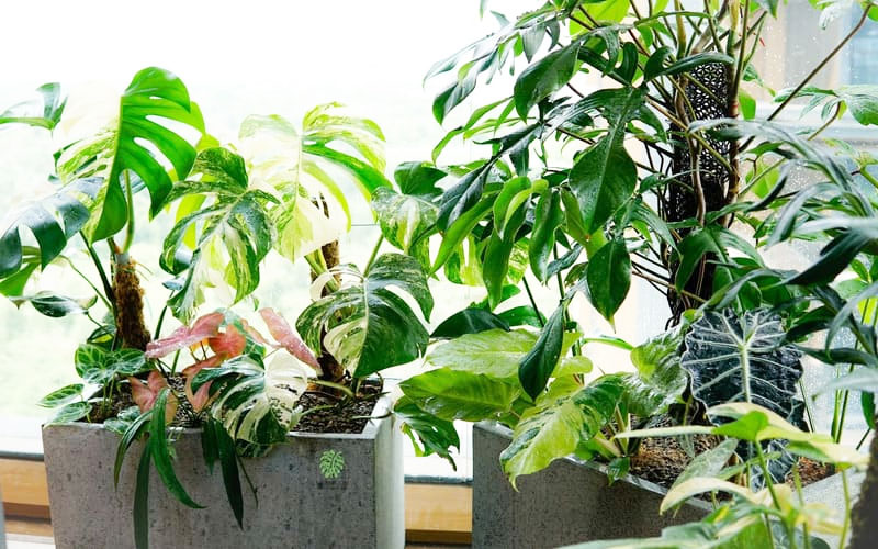 Tiêu chuẩn chất lượng dịch vụ