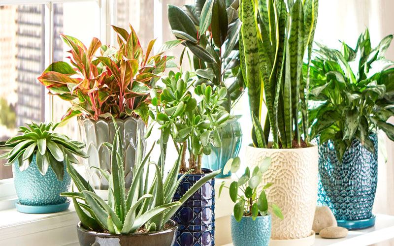 Quy trình kiểm soát chất lượng