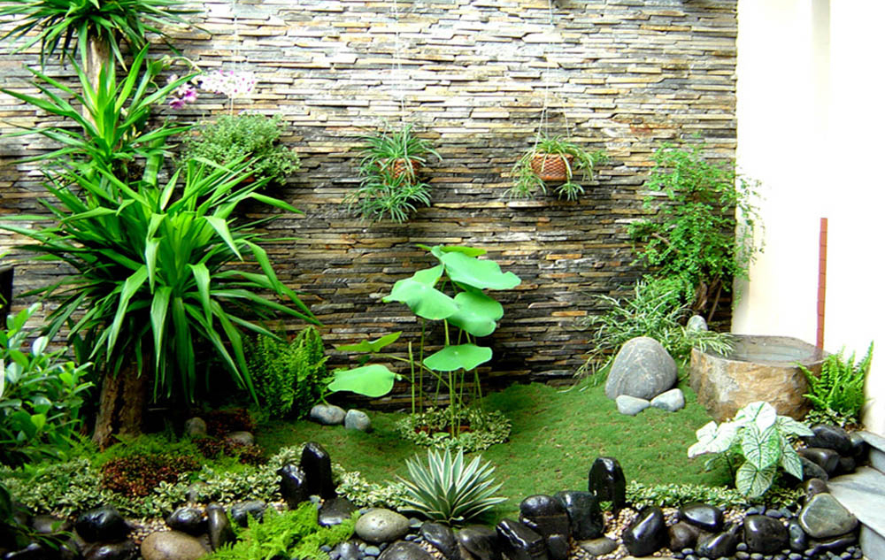 Tư vấn cây xanh phong thuỷ