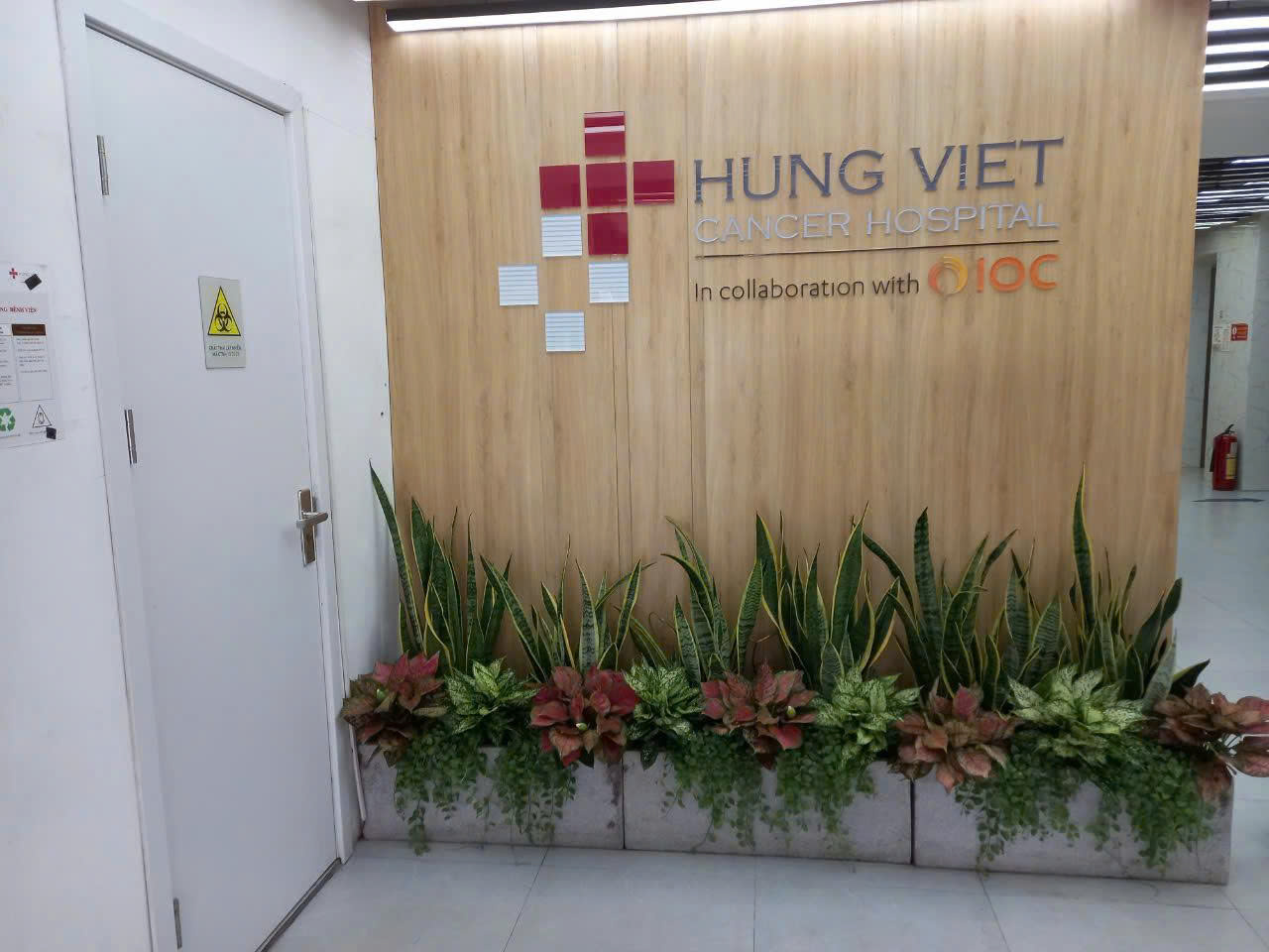 CÂY XANH TẠI BÊNH VIỆN UNG BƯỚU HƯNG VIỆT