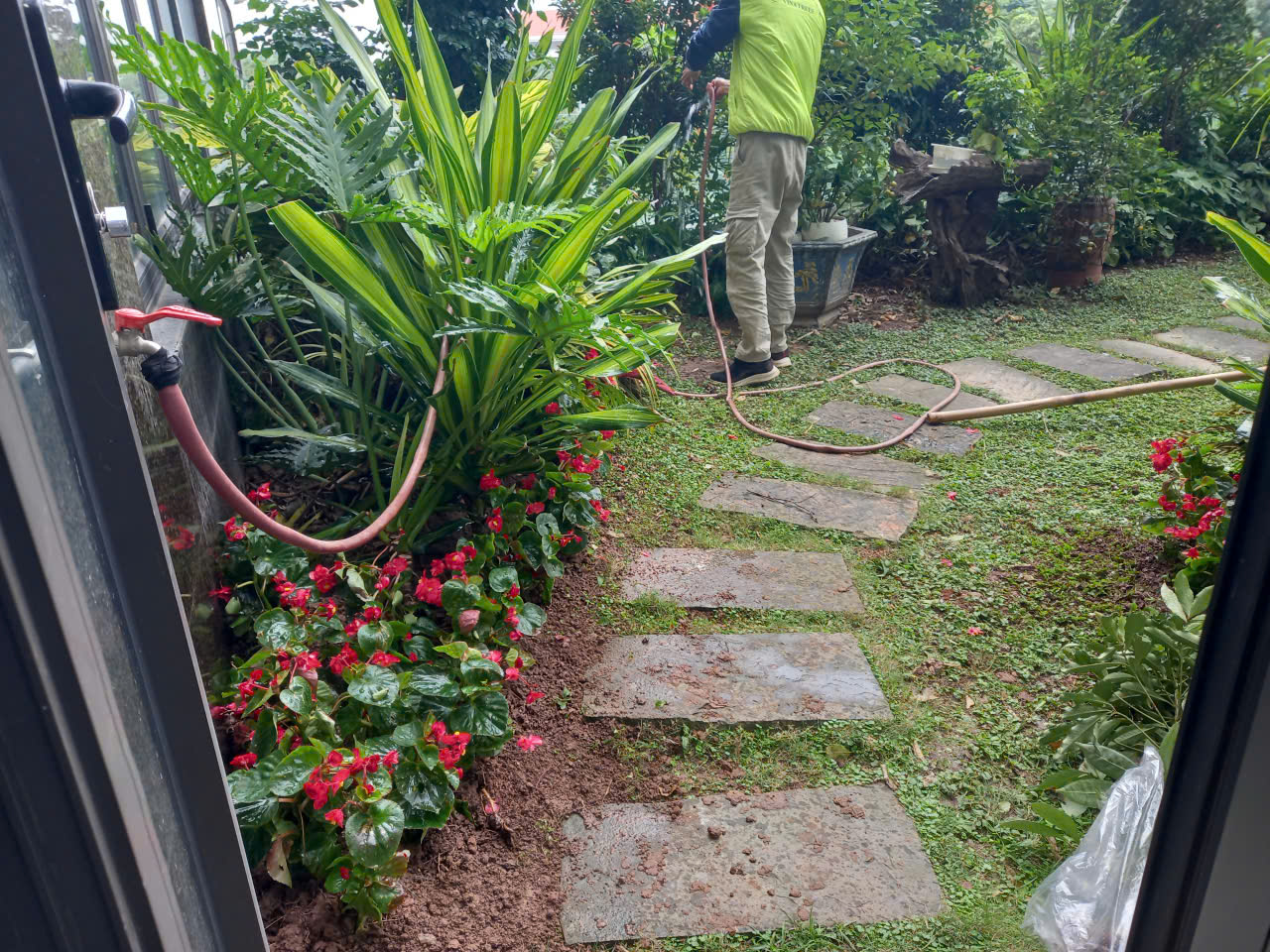 CÂY XANH BIDV Hà Nội