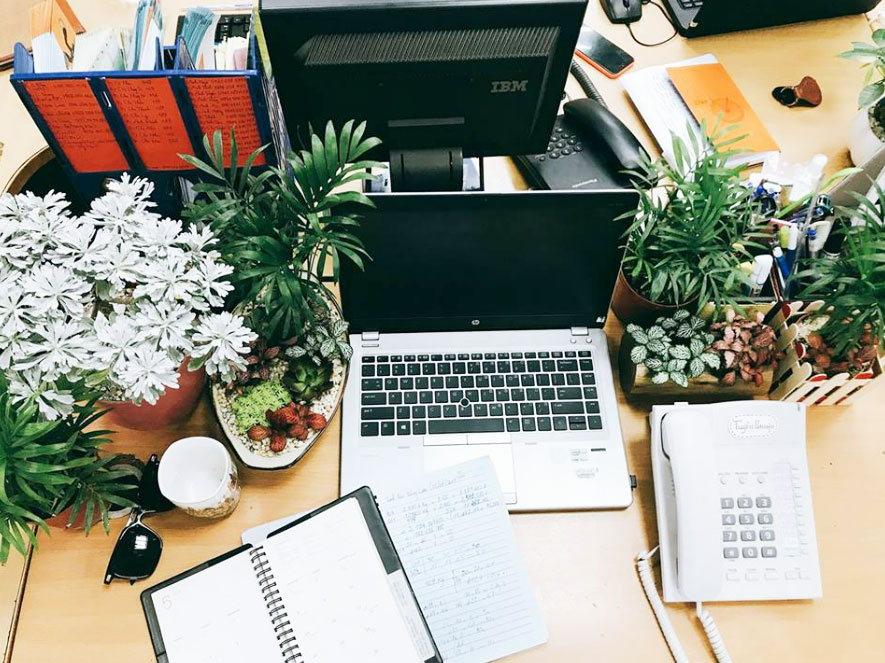 Thiết bị tường lửa Firewall