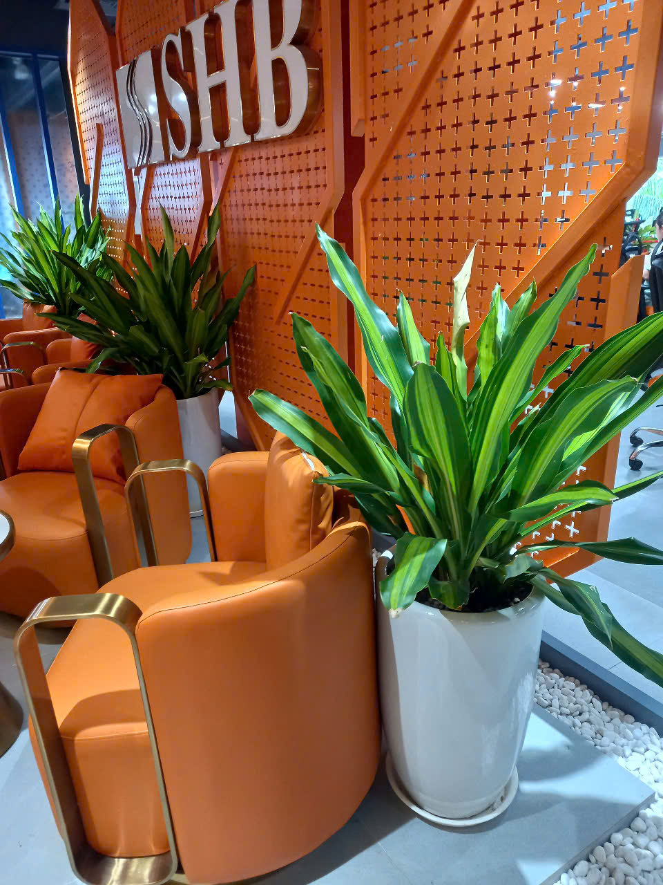 CÂY XANH VĂN PHÒNG SHB