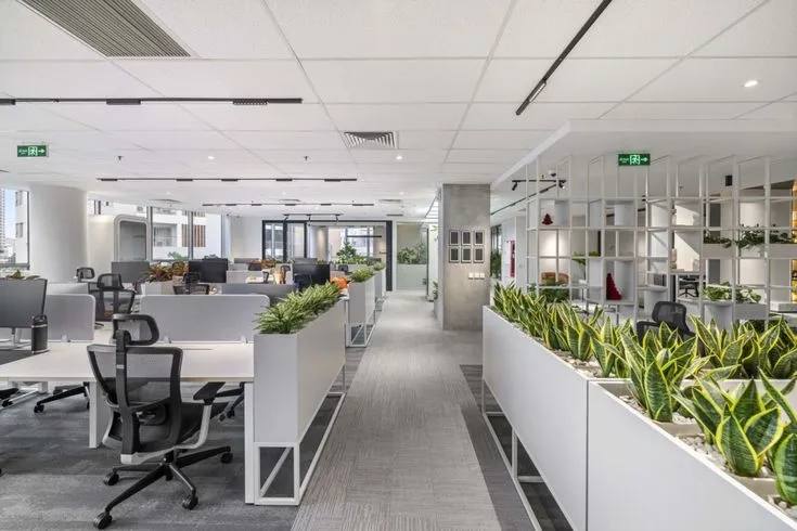 Green Homes triển khai dịch vụ cho thuê cây cảnh văn phòng tại Hà Nội