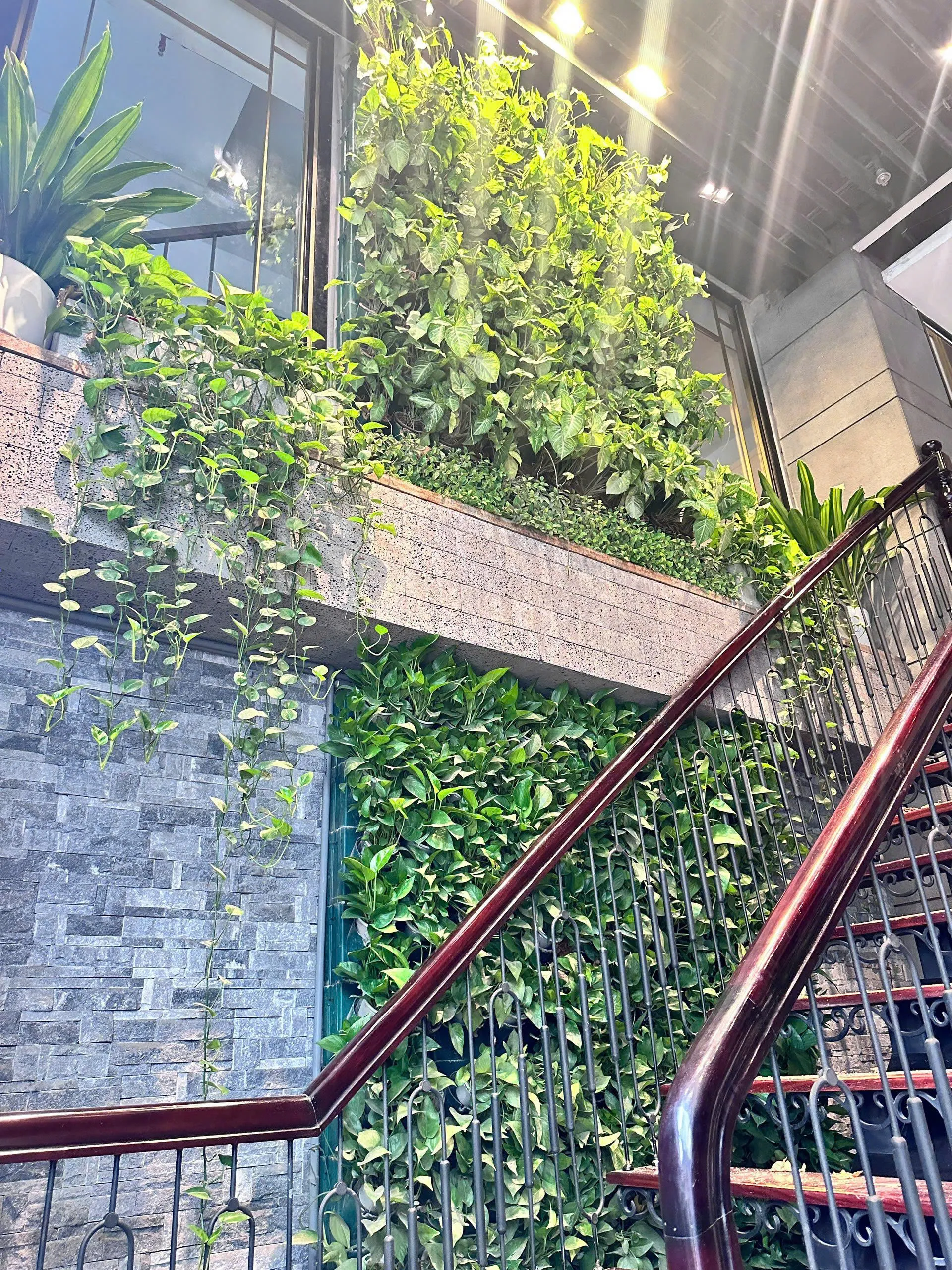 Cây Xanh Hà Nội Green Homes thiết kế dự án cây xanh tại quận Nam Từ Liêm Hà Nội