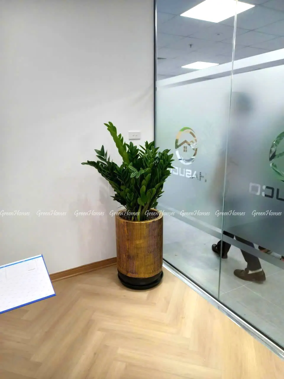 Cho thuê cây cảnh _Green Homes