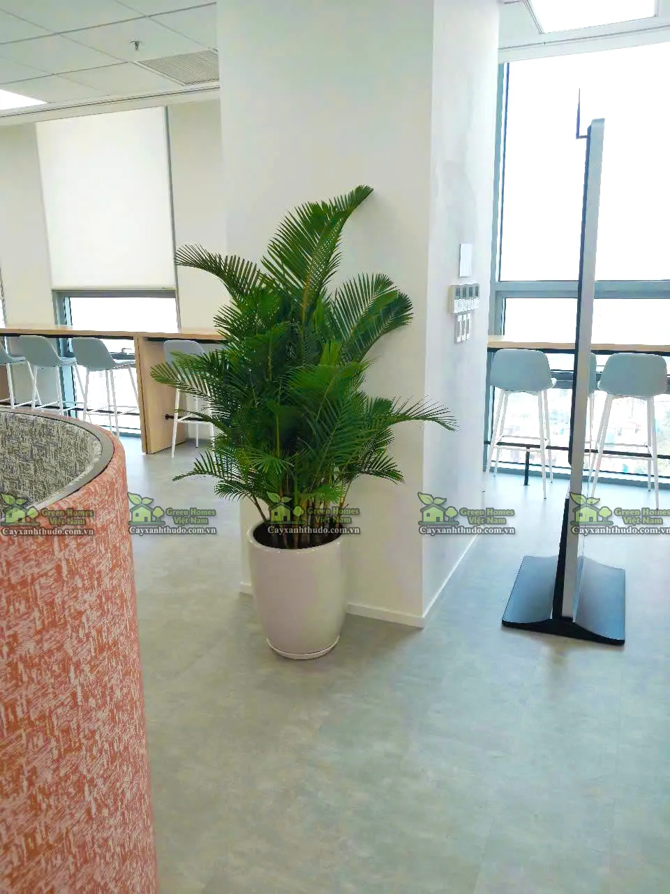 Dịch vụ cho thuê cây cảnh sự kiện _Green Homes