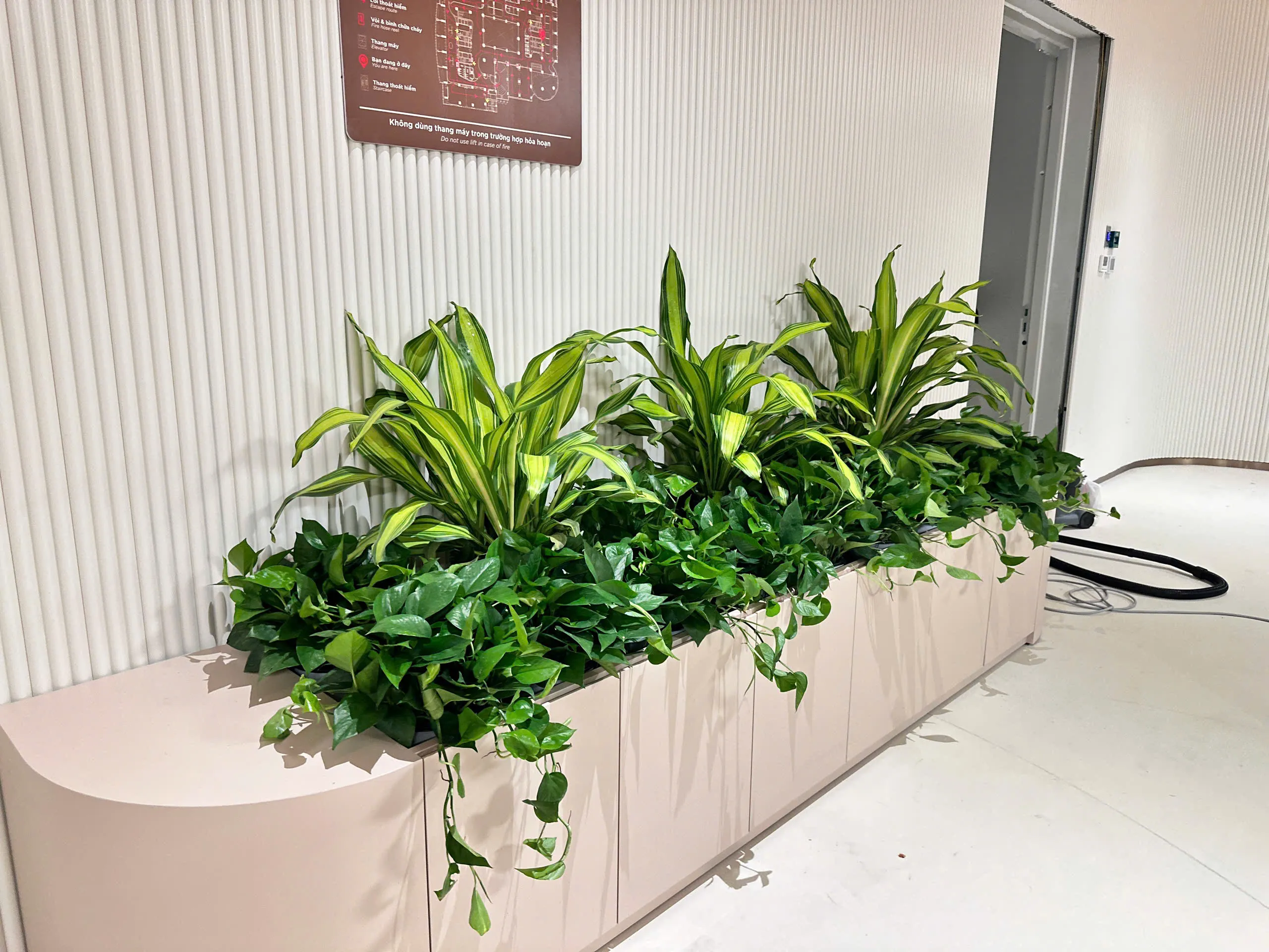 Dự án cây xanh văn phòng của Green Homes tại Quận Nam Tử Liêm Hà Nội