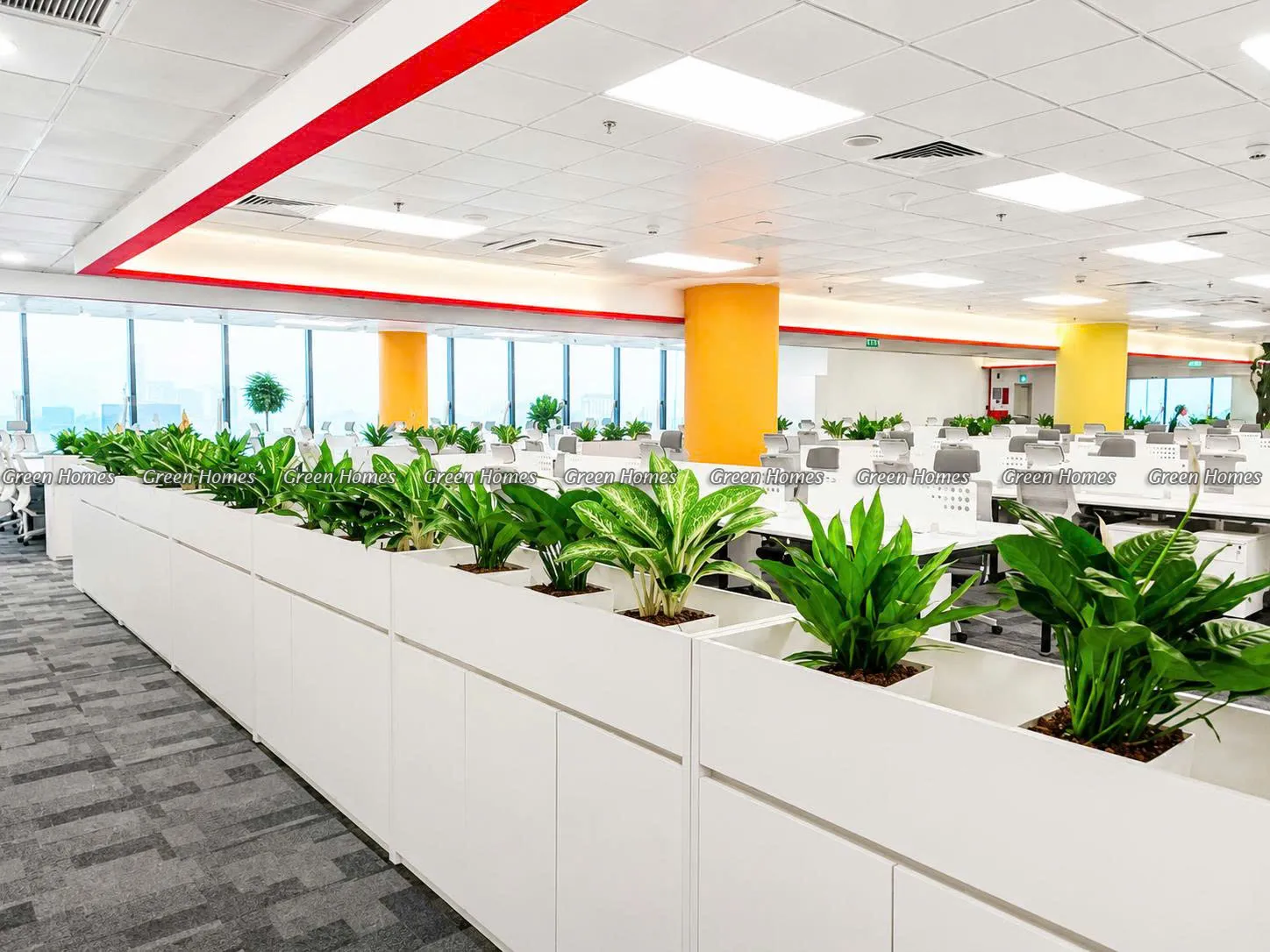Dịch vụ cho thuê cây cảnh văn phòng tại Hà Nội _Green Homes