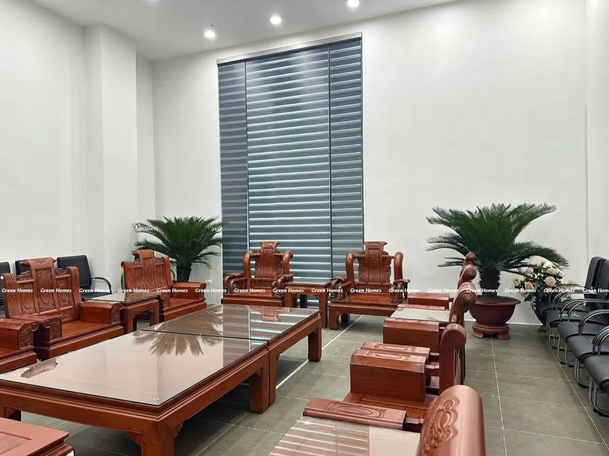  Cây vạn tuế _ cây xanh Hà Nôi Green Homes