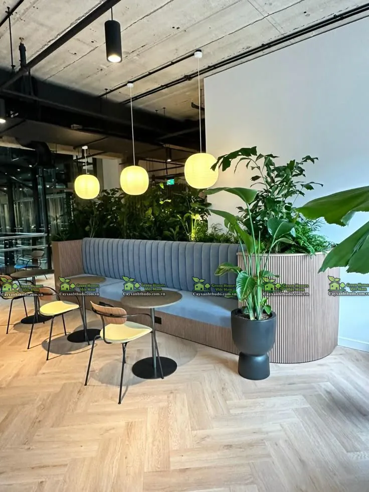 Green Homes _Cho thuê cây văn phòng tại Hà Nội