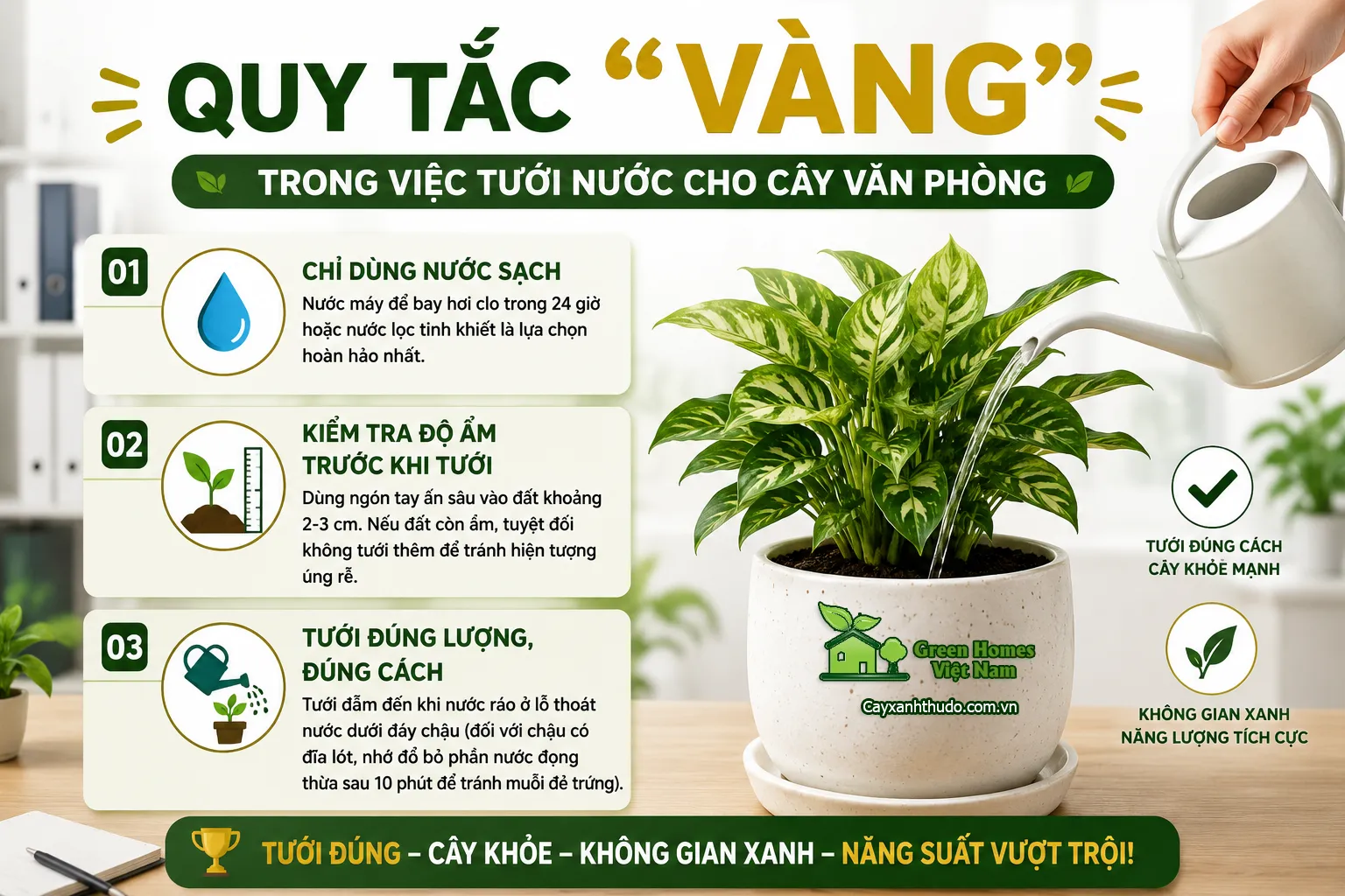 Quy tắc vàng trong việc tưới nước cho cây văn phòng _Green Homes