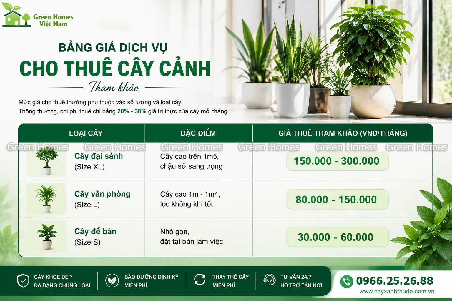 Bảng giá cho thuê cây cảnh văn phòng tại Hà Nội _Green Homes
