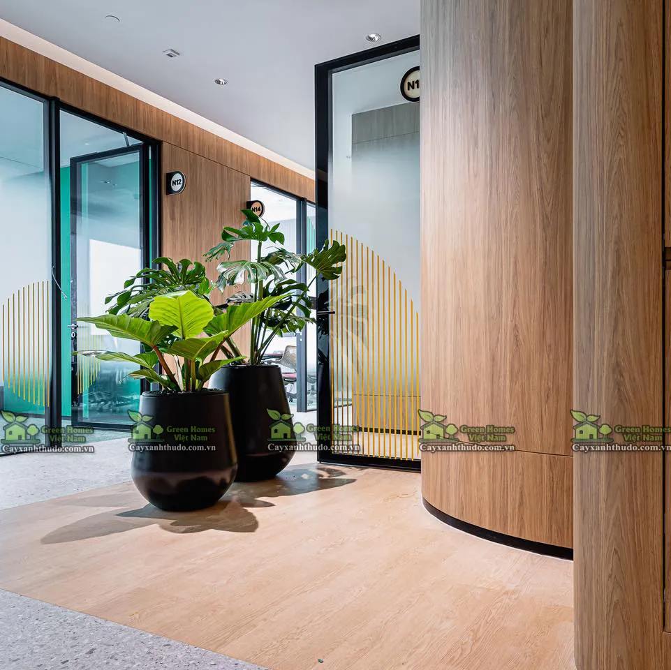 Green Homes _Cho thuê cây xanh văn phòng