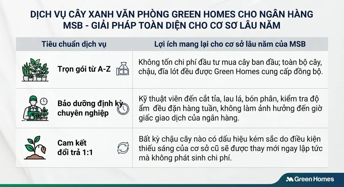 Dịch vụ cây xanh văn phòng Green Homes cho ngân hàng MSB