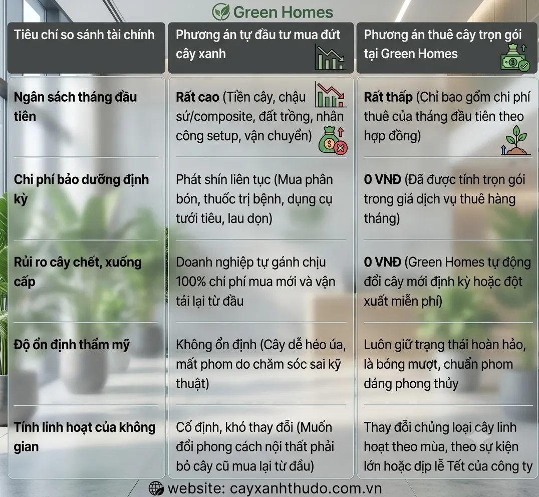 So sánh chi phí của mua cây và thuê cây cảnh văn phòng