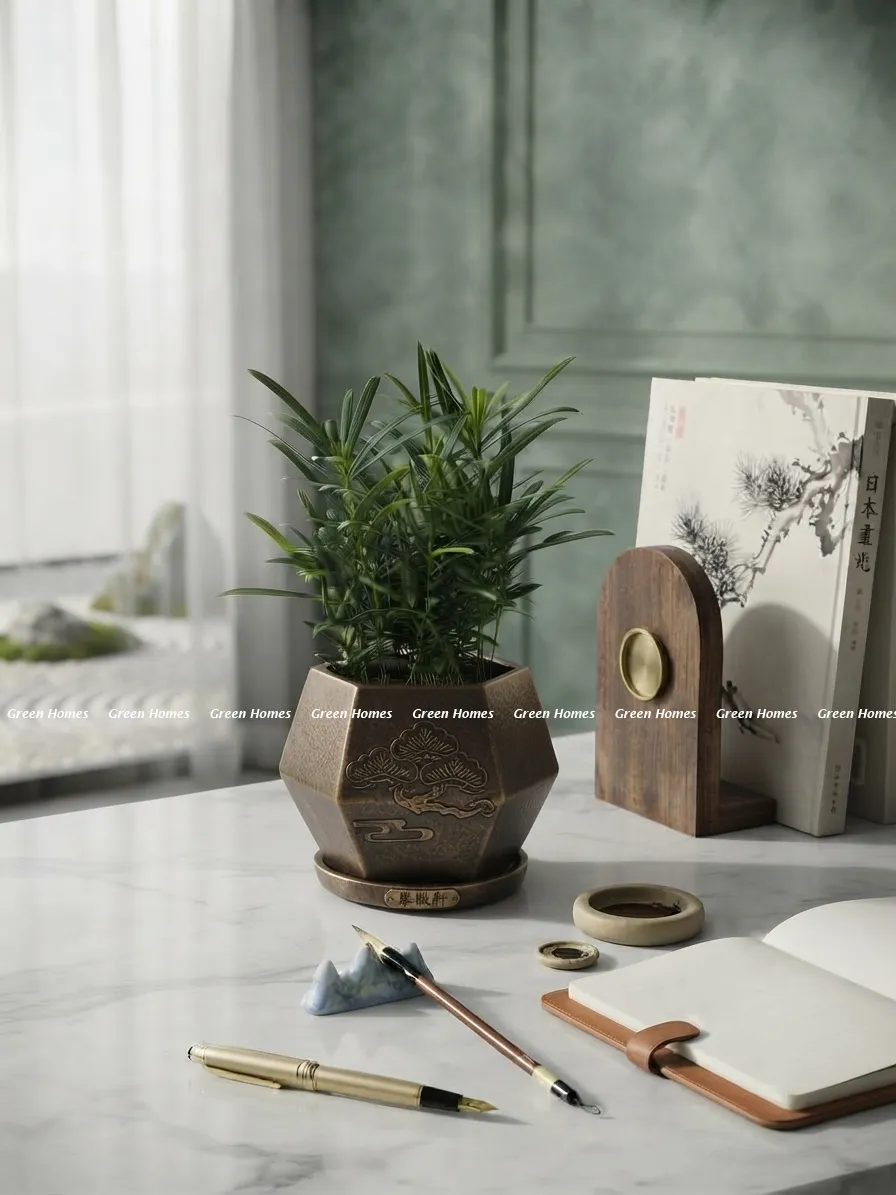 Cây Tùng La Hán tăng vượng khí