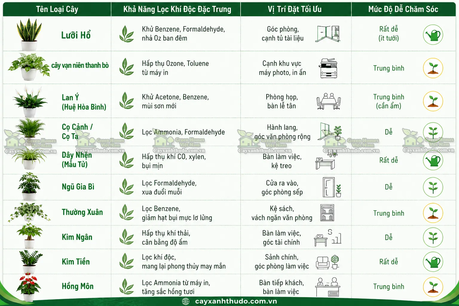 Bảng Tổng Hợp 10 Loại Cây Xanh Khử Mùi Văn Phòng Hiệu Quả Nhất