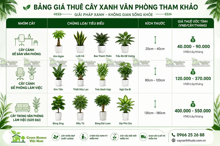 Bảng giá thuê cây xanh văn phòng tại Hà Nội _Green Homes