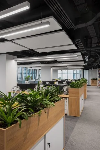 Green Homes cho thuê cây cảnh văn phòng đẹp Hà Nội