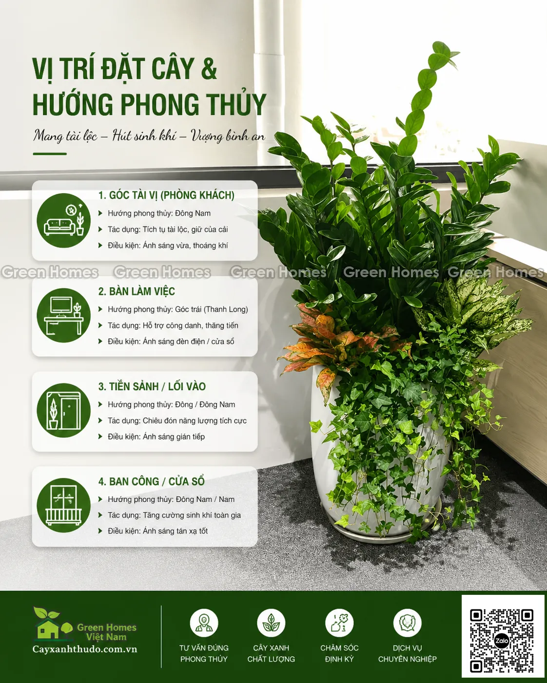 Green Homes tổng hợp vị trí đặt cây kim tiền theo phong thủy