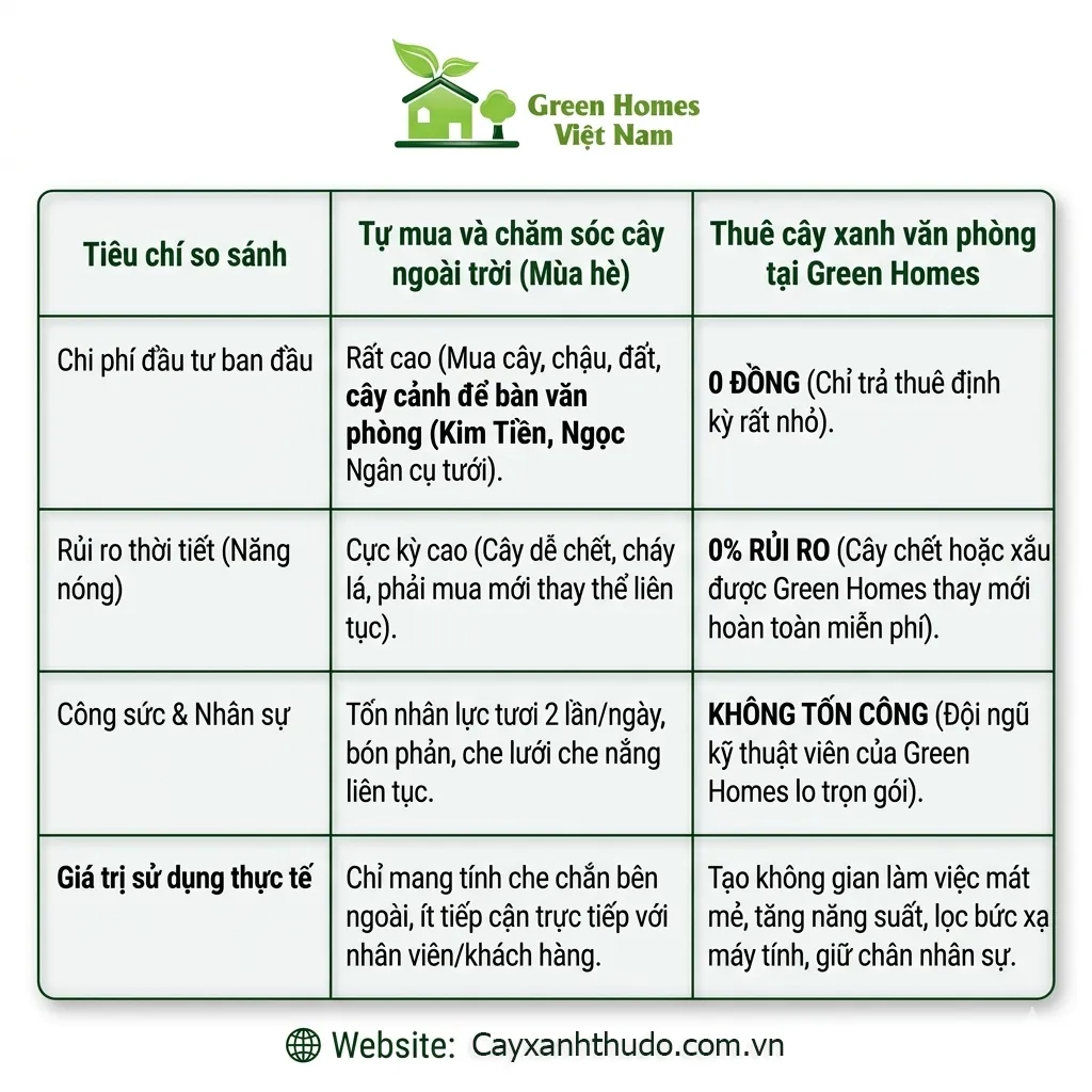 Cho thuê cây cảnh văn phòng Hà Nội _Geen Homes