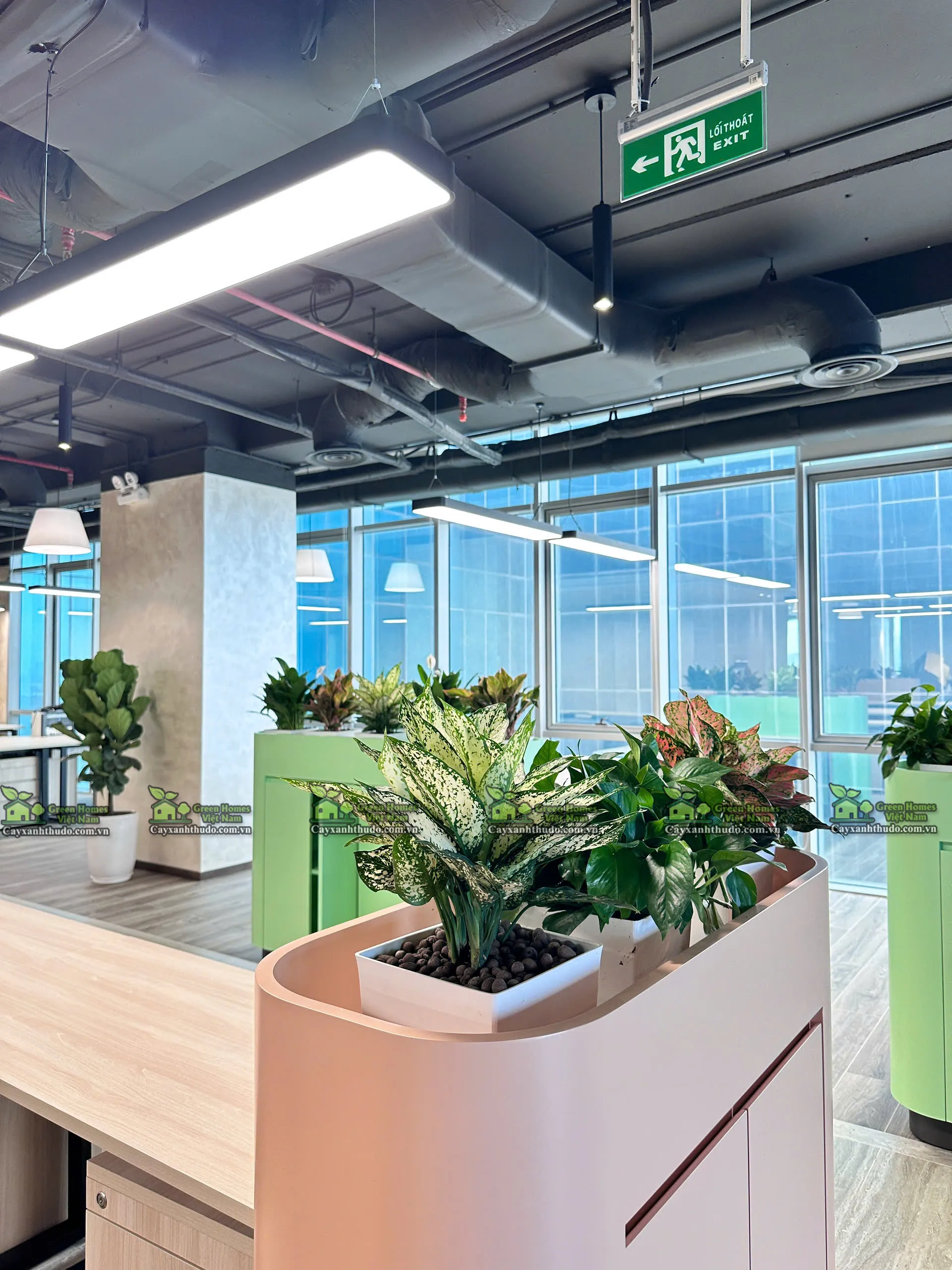 Green Homes tặng thiết kế bố trí cây xanh theo mặt bằng