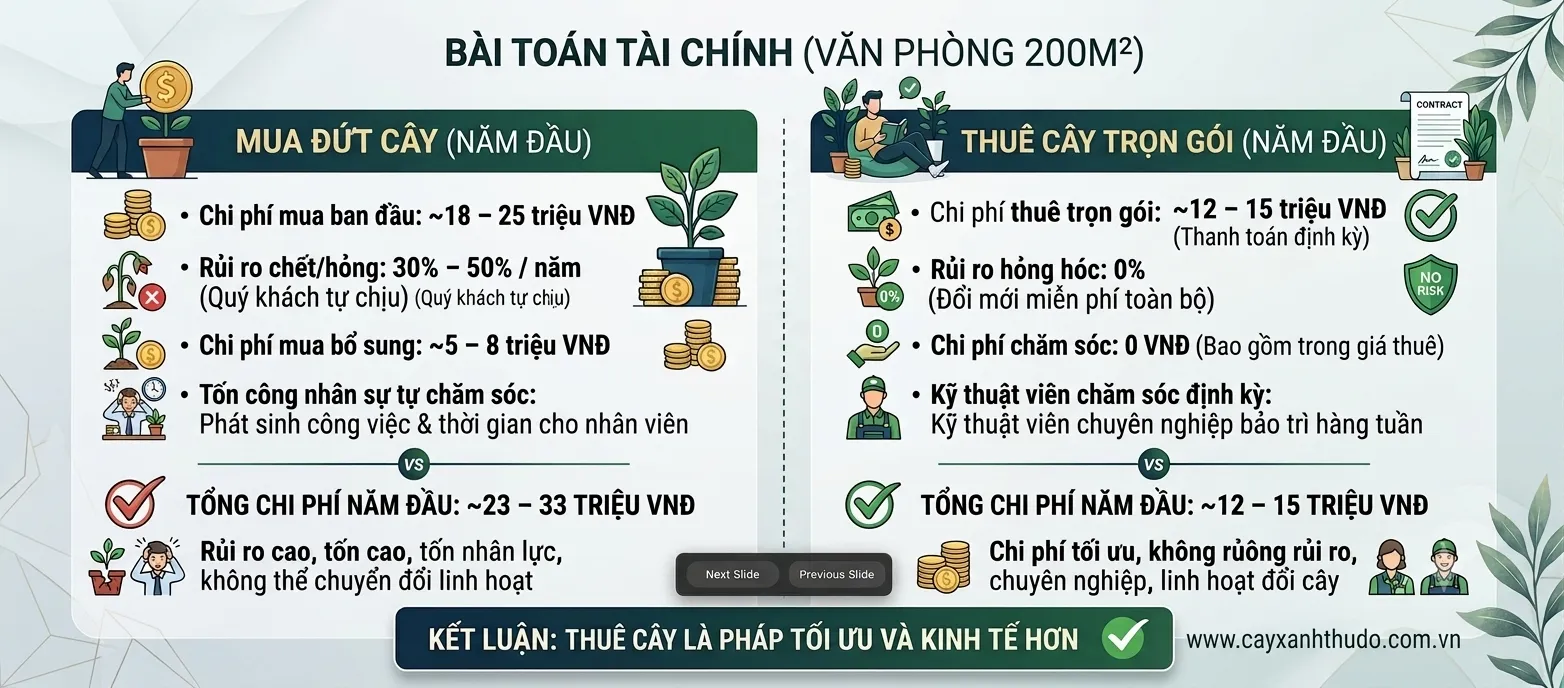 Green Homes cung cấp dịch vụ cho thuê cây cảnh tại Hà Nội