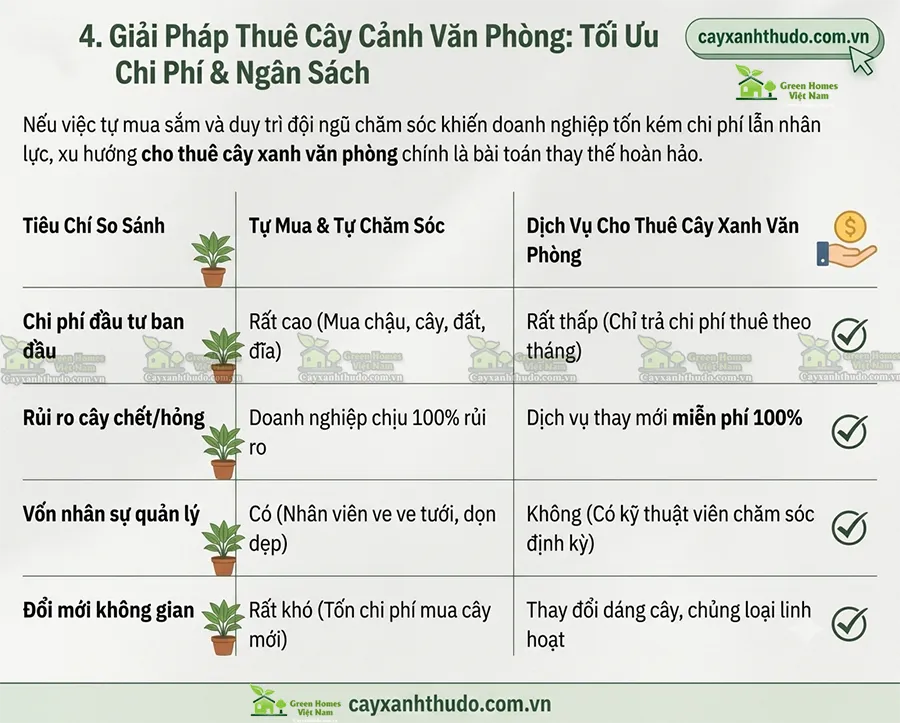 Giải pháp cho thuê cây cảnh văn phòng tối ưu chi phí và ngân sách