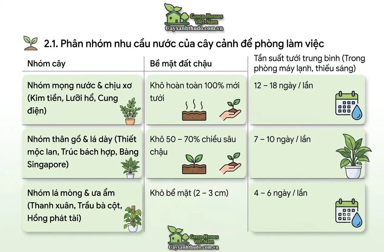Nhu cầu tưới nước của cây cảnh để phòng làm việc