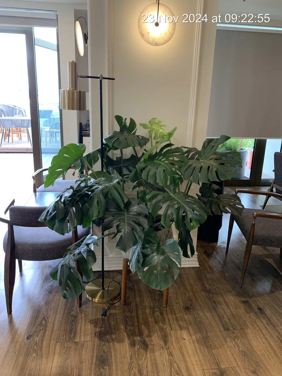 Thuê cây văn phòng tại Green Homes