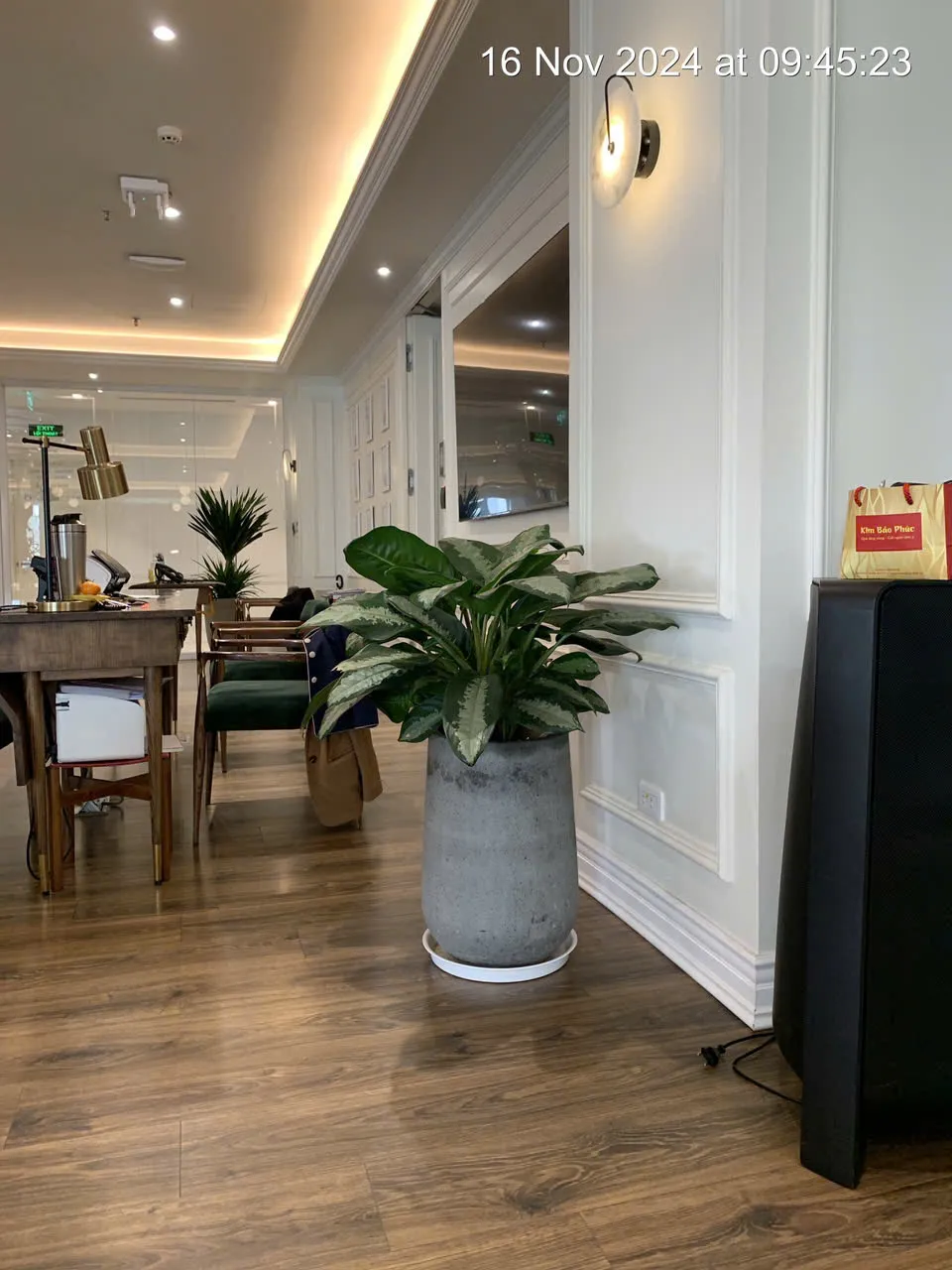 Thuê cây cảnh văn phòng đẹp tại Green Homes