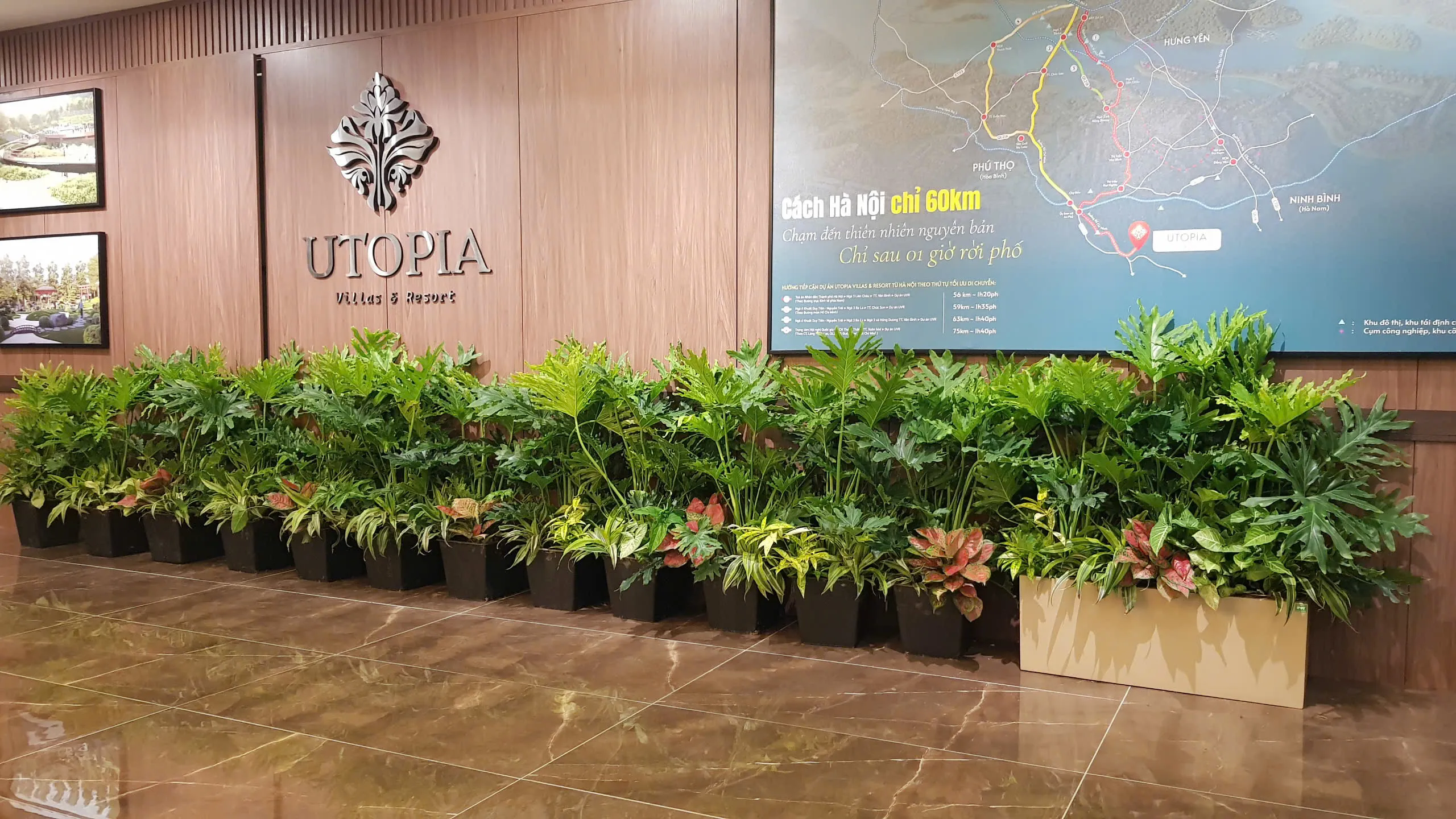 Green Homes cho thuê cây cảnh văn phòng tại Hà Nội