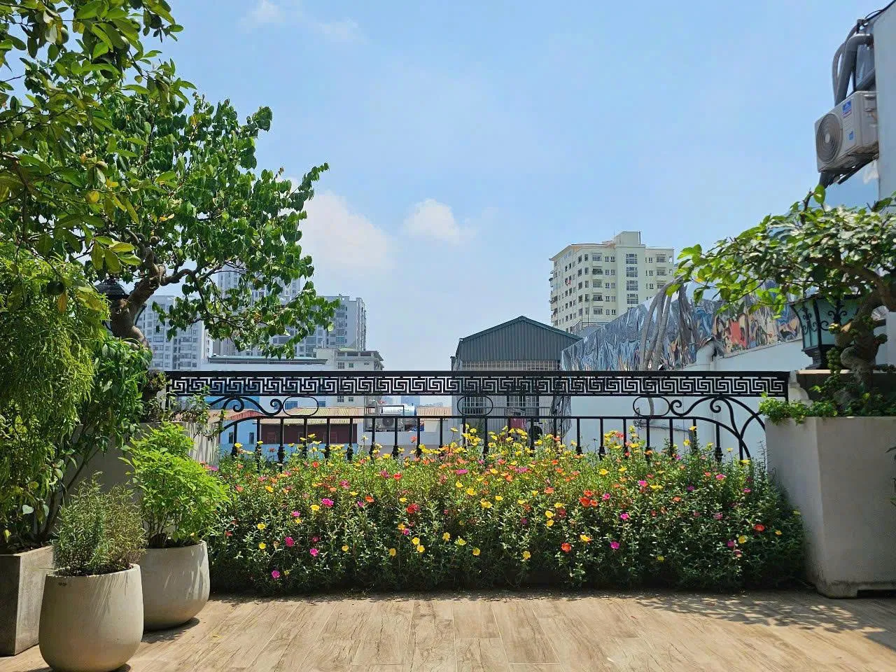 Green Homes tư vấn cây phong thủy cho ban công