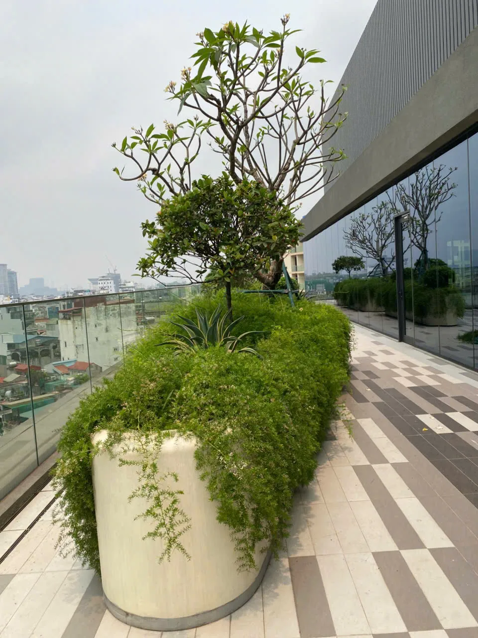 cây công trình đẹp _Green Homes