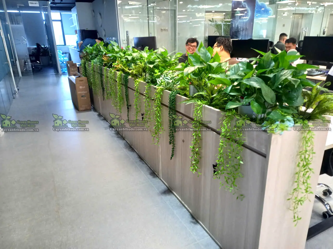 Dự án thiết kế cây xanh văn phòng tại Hà Nội