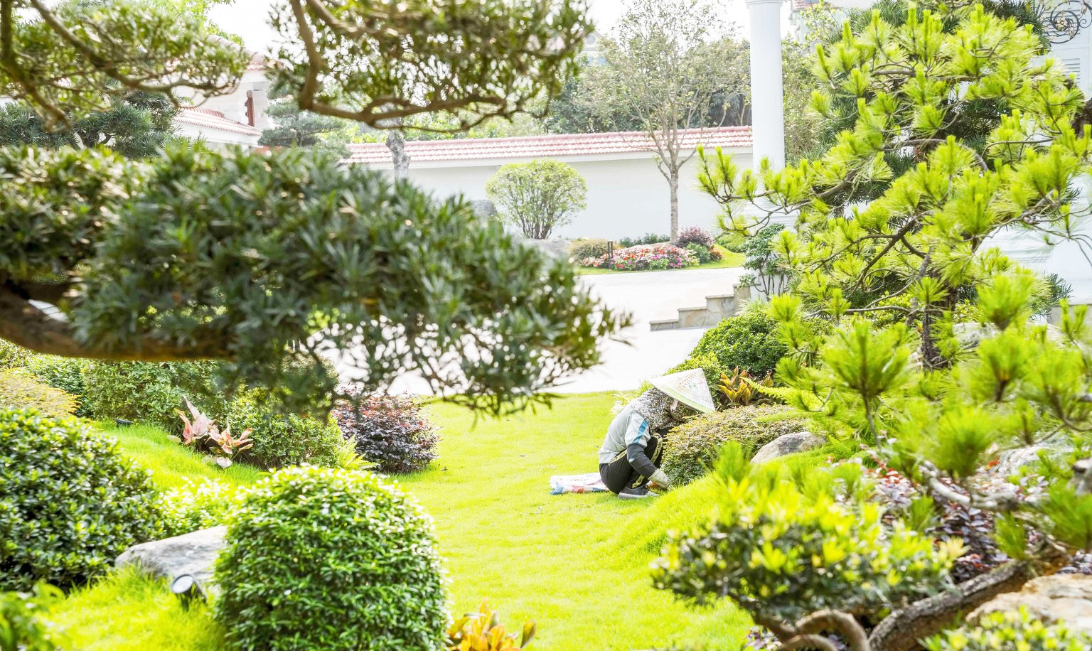 Chăm sóc cảnh quan tại sân vườn tại nhà