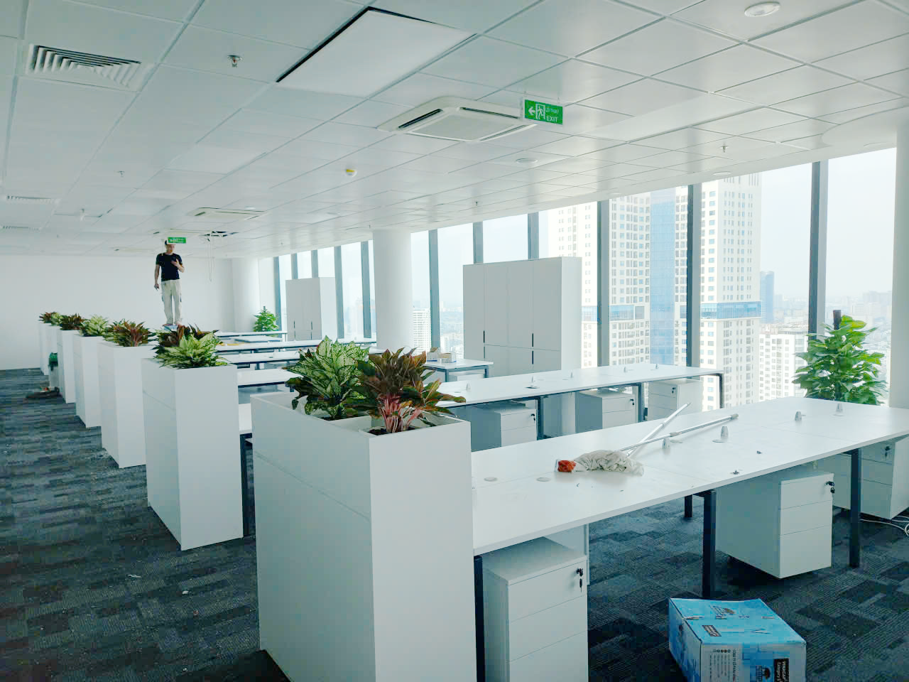 Thiết Kế Cây Xanh Văn Phòng Tầng 27 Vinacomin Tower | Cây Xanh Văn Phòng Green Homes