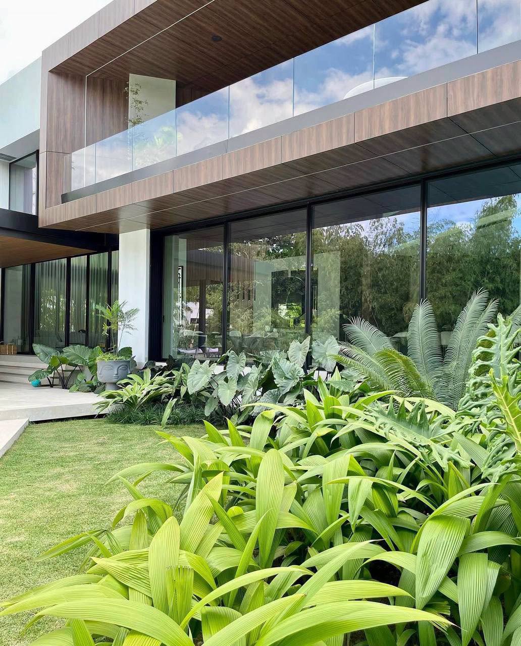 5 loại cây tạo điểm nhấn cho sân vườn biệt thự hiện đại