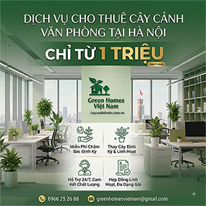 Dịch Vụ Cho Thuê Cây Cảnh Văn Phòng Tại Hà Nội Chỉ Từ 1 Triệu VNĐ / Green Homes