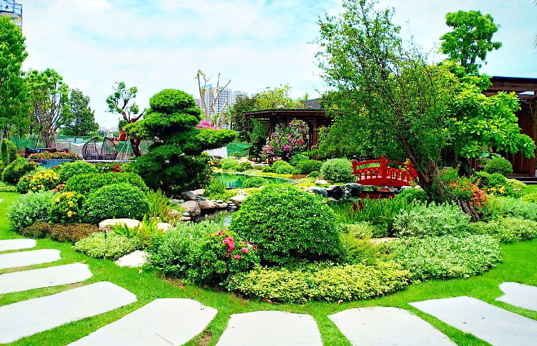 Cây cảnh sân vườn