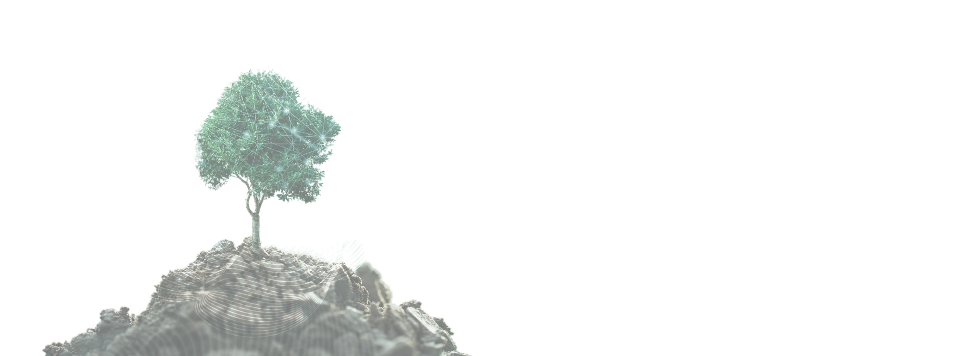 Điểm khác biệt ở