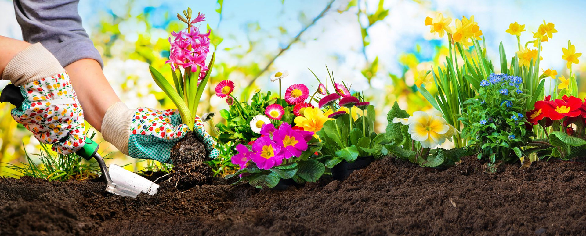 CÔNG TY CỔ PHẦN GREEN HOMES VIỆT NAM