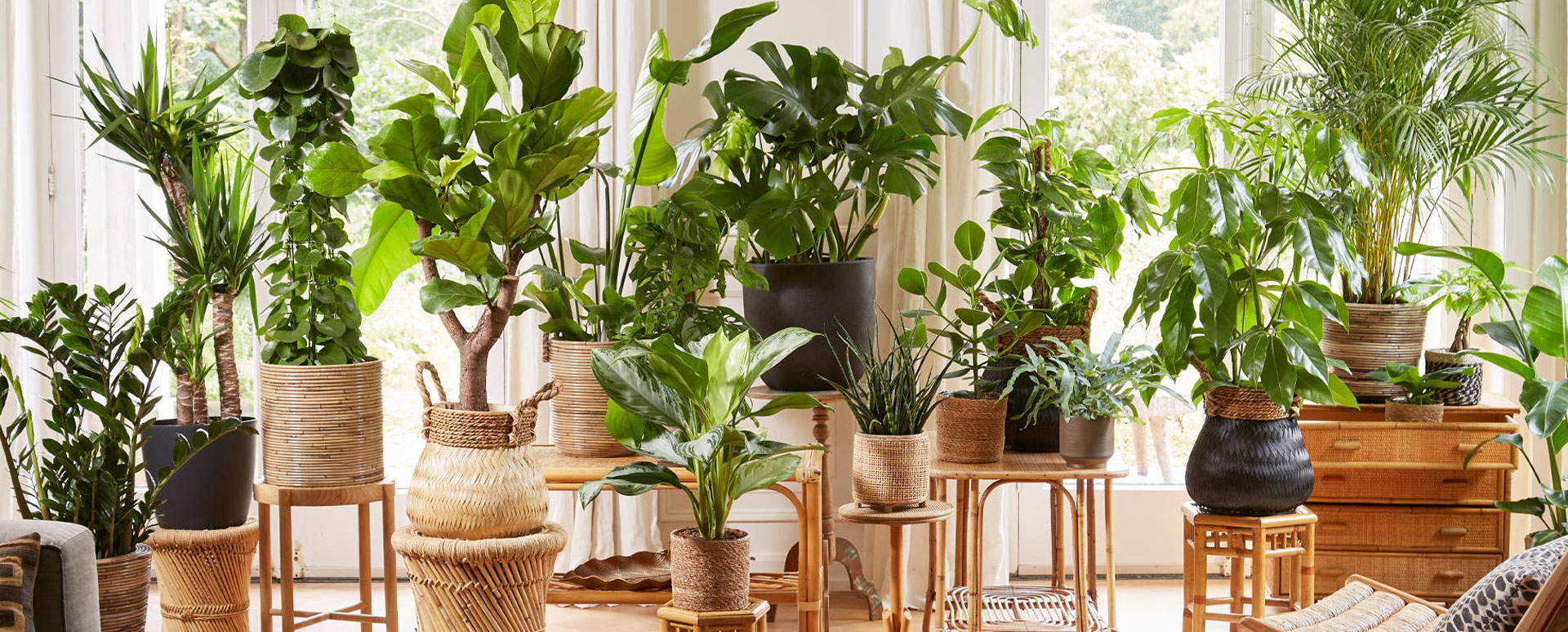 CÔNG TY CỔ PHẦN GREEN HOMES VIỆT NAM